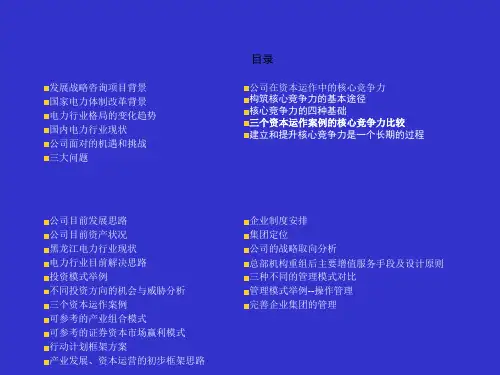 某企业战略项目建议书ppt课件