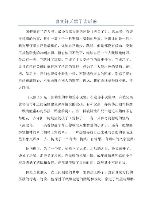 曹文轩天黑了读后感