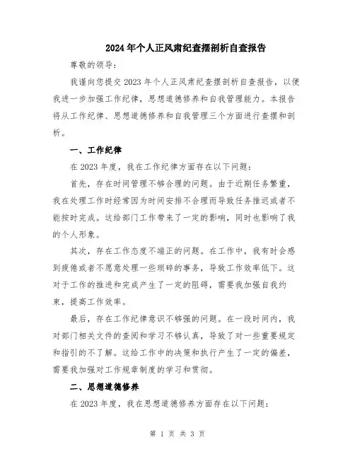 2024年个人正风肃纪查摆剖析自查报告