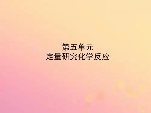 鲁教版2019年中考化学复习第一部分八全第五单元定量研究化学反应课件