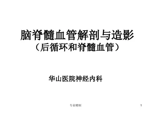 脑血管(后循环+脊髓)[荟萃知识]