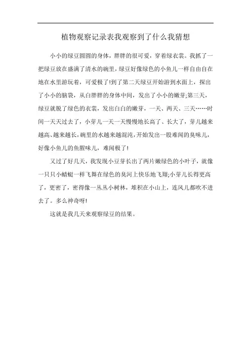植物观察记录表我观察到了什么我猜想