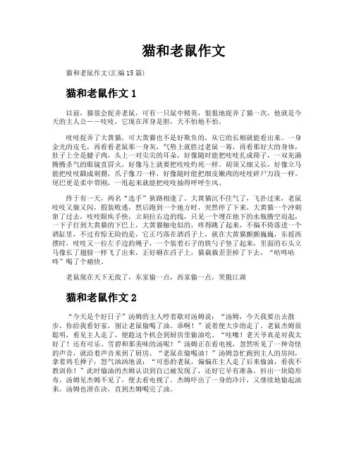 猫和老鼠作文