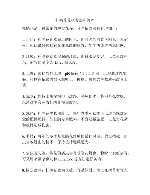 杜娟花养植方法和管理