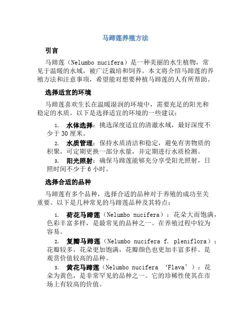 马蹄莲养殖方法养殖马蹄莲注意事项