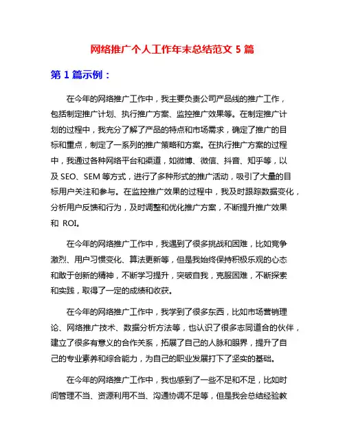 网络推广个人工作年末总结范文5篇