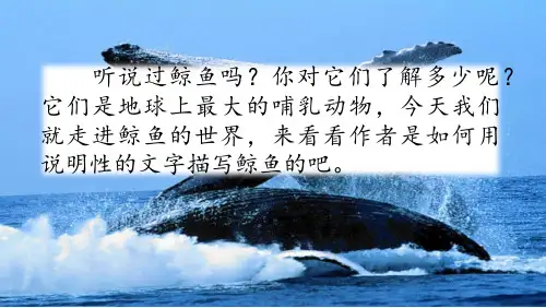 部编语文五年级上册：习作例文：《鲸》《风向袋的制作》课件(新教材)精品资料