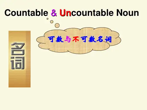可数名词与不可数名词的用法和练习课件ppt