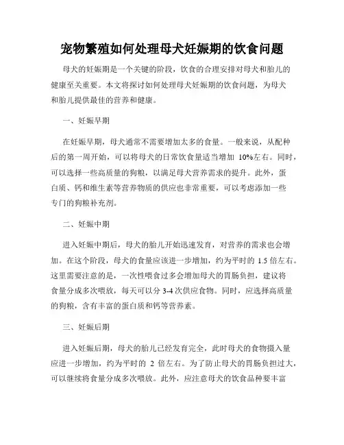 宠物繁殖如何处理母犬妊娠期的饮食问题