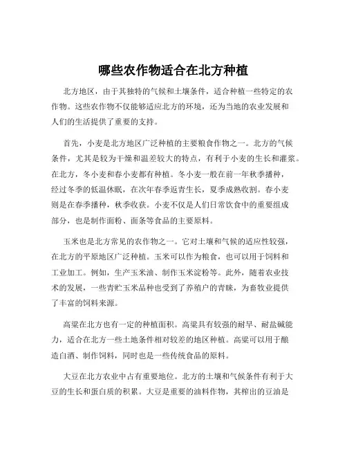哪些农作物适合在北方种植