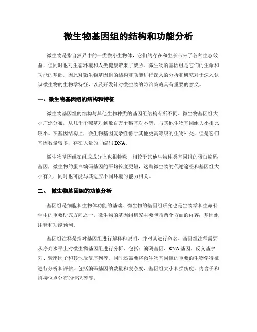 微生物基因组的结构和功能分析