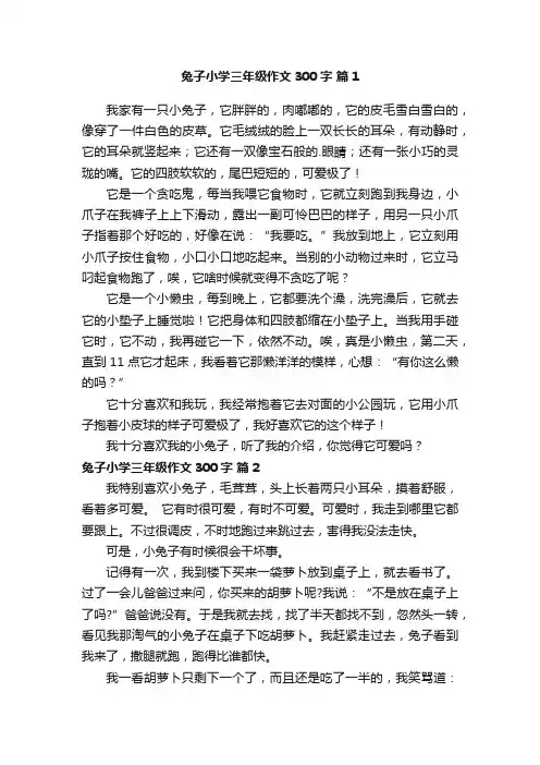 兔子小学三年级作文300字