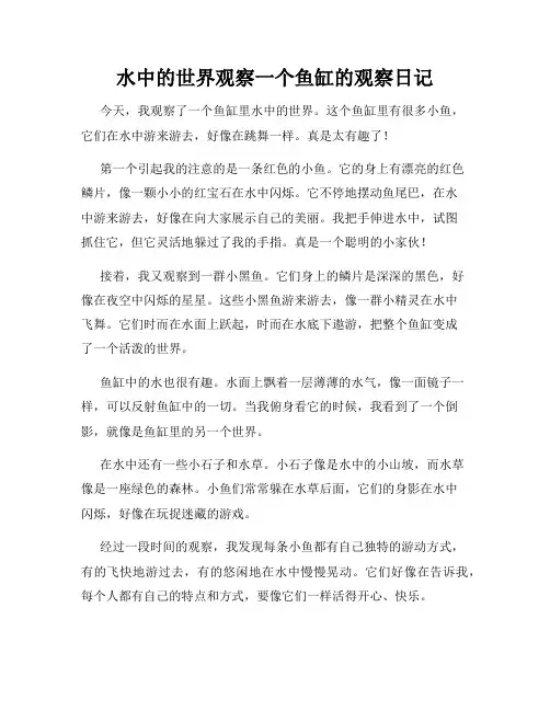 小学三年级作文水中的世界观察一个鱼缸的观察日记