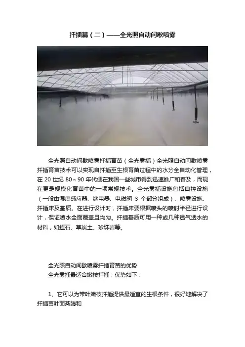 扦插篇（二）——全光照自动间歇喷雾