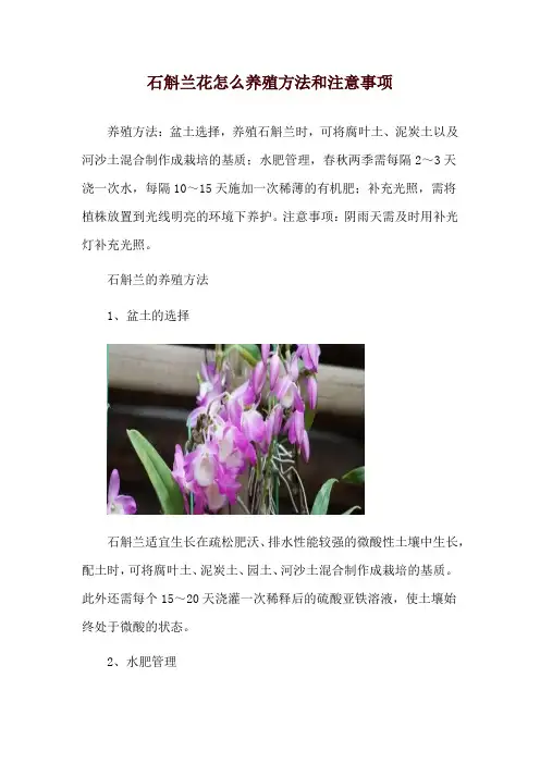 石斛兰花怎么养殖方法和注意事项