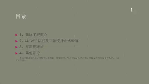 基坑围护工程(三轴止水帷幕及SMW工法)