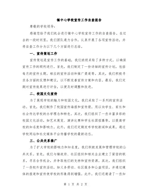 镇中心学校宣传工作自查报告