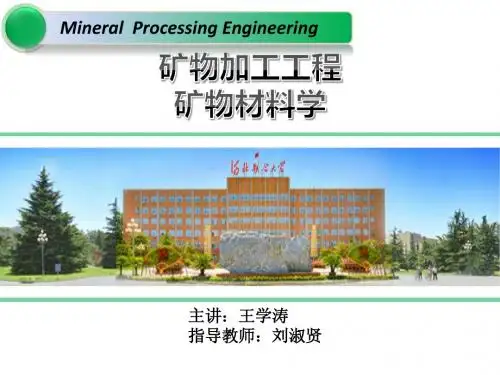 无机阻燃剂(王学涛)