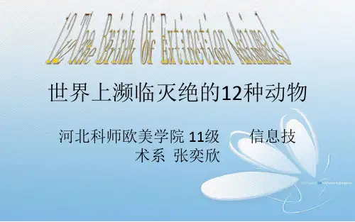 濒临灭绝的12种动物(英语课件)