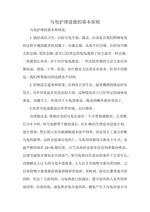 乌龟护理道德的基本原则