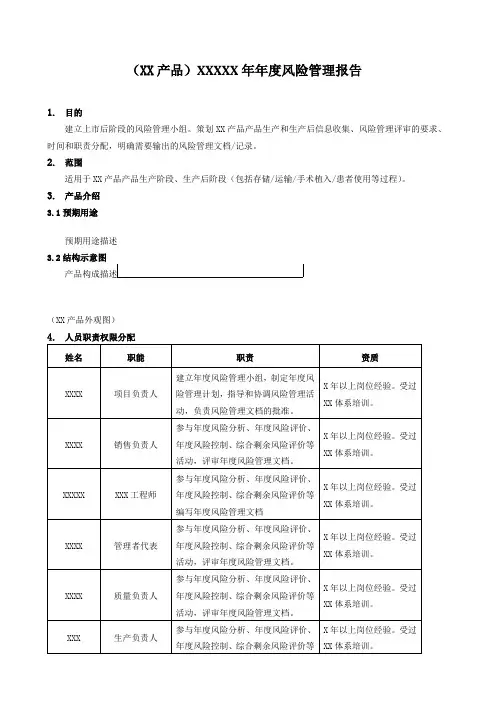 医疗器械产品年度风险管理报告模板