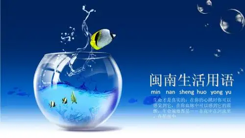 闽南生活用语