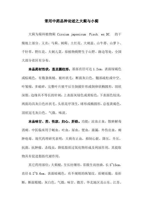 常用中药品种论述之大蓟与小蓟