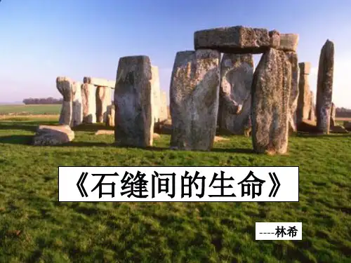 七级语文上册《石缝间的生命》课件 上海五四制(通用)
