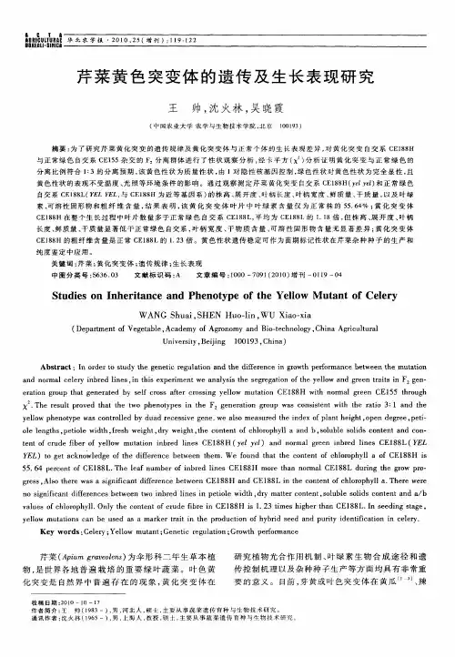 芹菜黄色突变体的遗传及生长表现研究