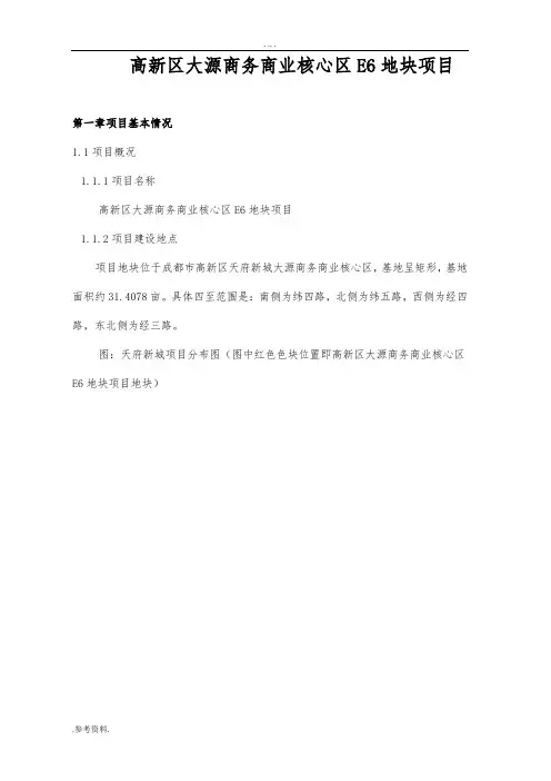 高新区大源商务商业核心区E6地块项目可行性实施报告