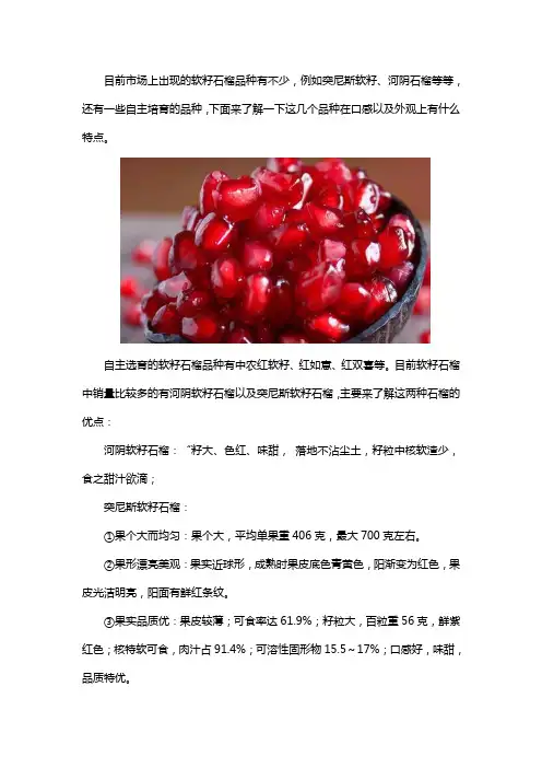 软籽石榴哪个品种好吃