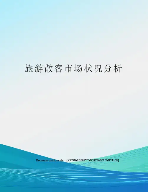 旅游散客市场状况分析精选版