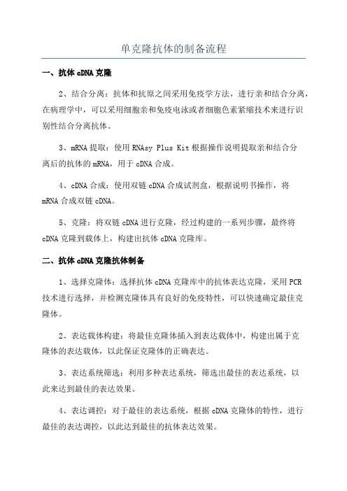 单克隆抗体的制备流程
