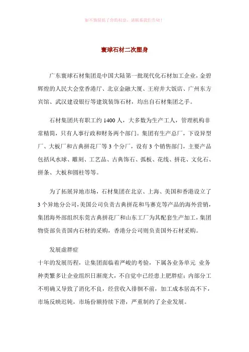 集团企业诊断报告参考Word