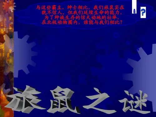 【最新】人教版八年级语文下册《13 旅鼠之谜》课件(共18张PPT)