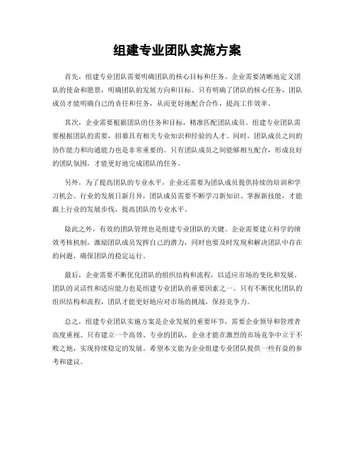 组建专业团队实施方案