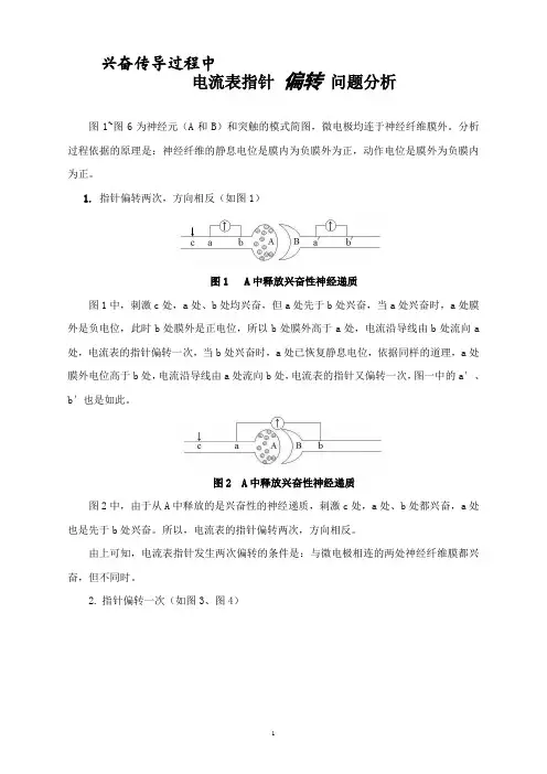 神经传导过程中电流表的指针偏转问题分析