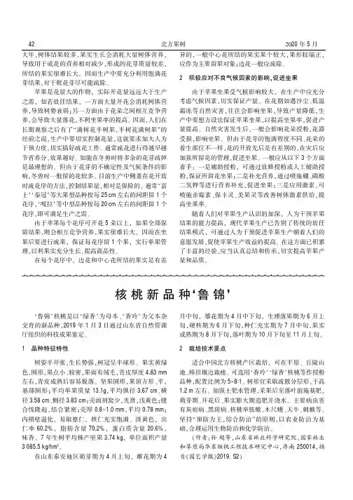 核桃新品种‘鲁锦’