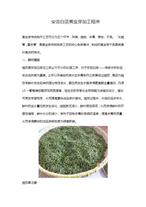 安吉白茶黄金芽加工程序