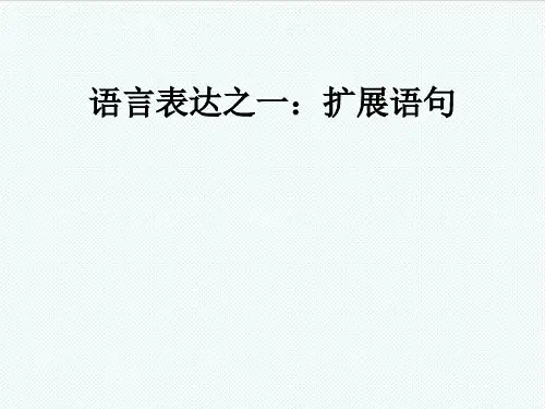 语言表达之一：扩展语句 精品