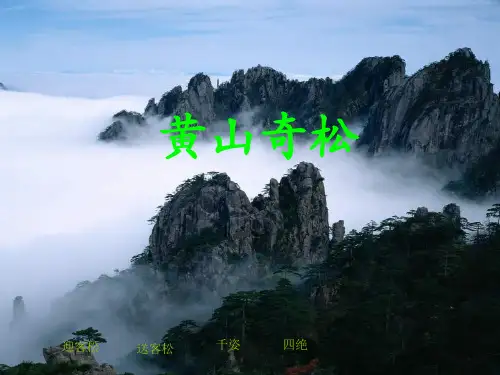 苏教版五级上册语文《黄山奇松》(共22张PPT)