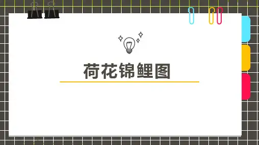 少儿7-9岁水彩线描荷花锦鲤图—美术课件