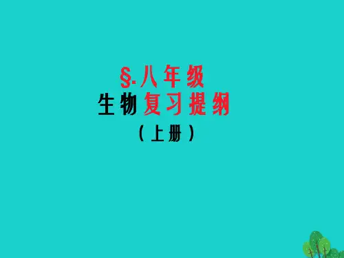 八年级生物上册复习课件 新人教版