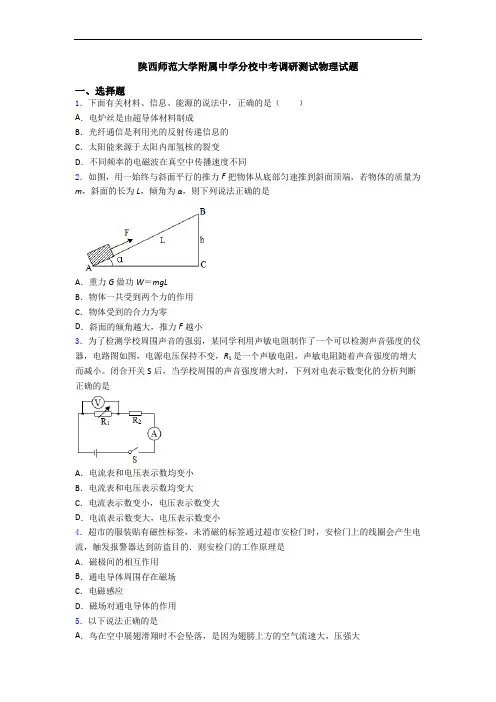 陕西师范大学附属中学分校中考调研测试物理试题