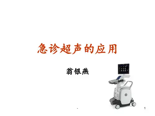 急诊超声入门PPT课件
