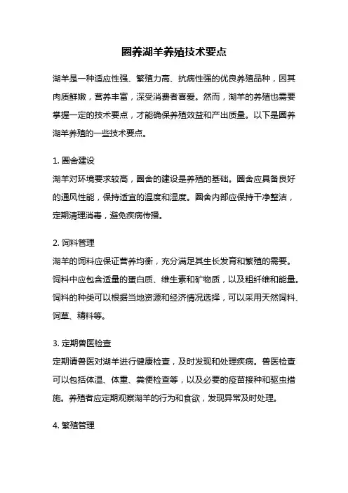 圈养湖羊养殖技术要点