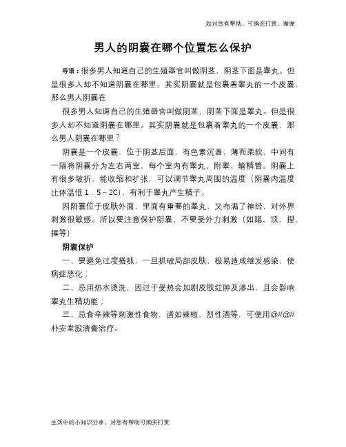 男人的阴囊在哪个位置怎么保护