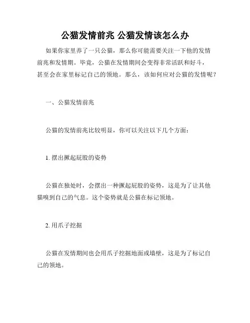 公猫发情前兆 公猫发情该怎么办