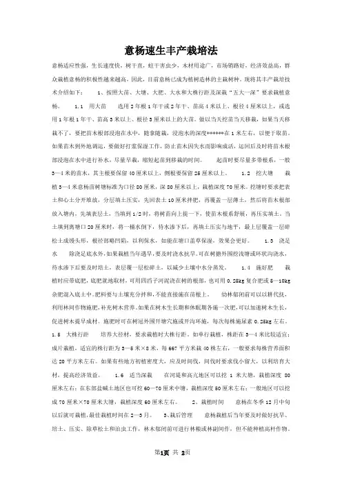 意杨速生丰产栽培法