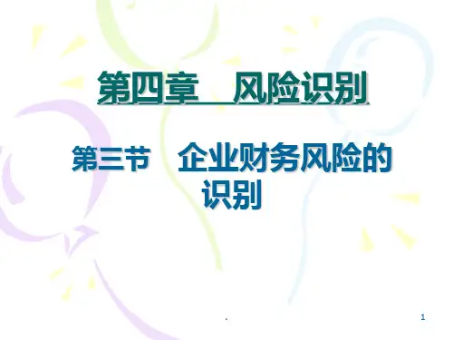 财务风险的识别PPT课件